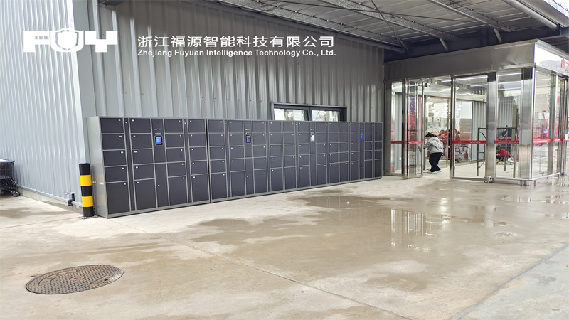 1733712023967720.jpg 洛陽(yáng)大張郁金香店2.jpg